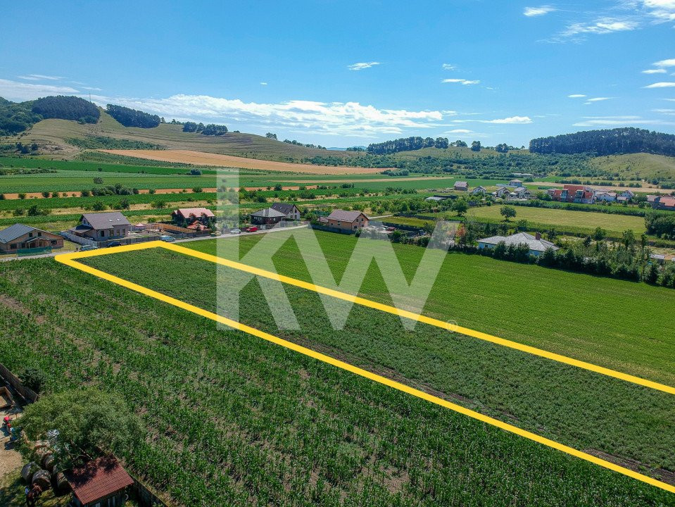 Teren de vanzare Sanpetru, intravilan - 3500 mp, COMISION 0%