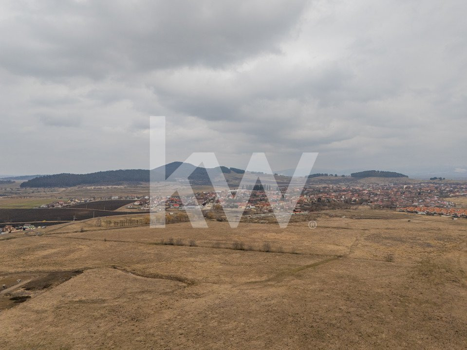 Teren intravilan constructie casa sau investitie, Sanpetru - Comision 0%