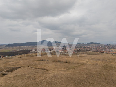Teren intravilan constructie casa sau investitie, Sanpetru - Comision 0%