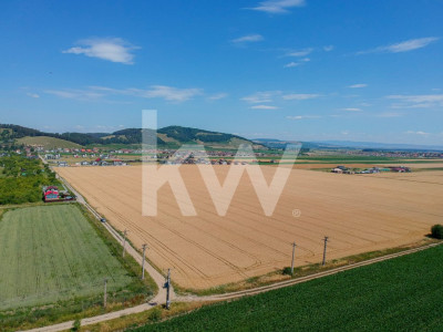 Teren de vanzare, Extravilan Sanpetru, potential dezvoltare -9300 mp COMISION 0%