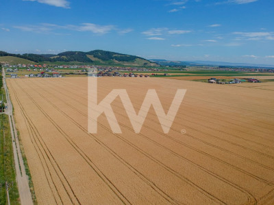 Teren de vanzare, Extravilan Sanpetru, potential dezvoltare -9300 mp COMISION 0%