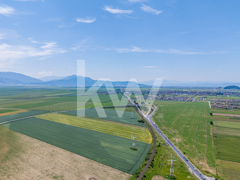Teren de vanzare I 43.500 mp I Deschidere la drum - Harman