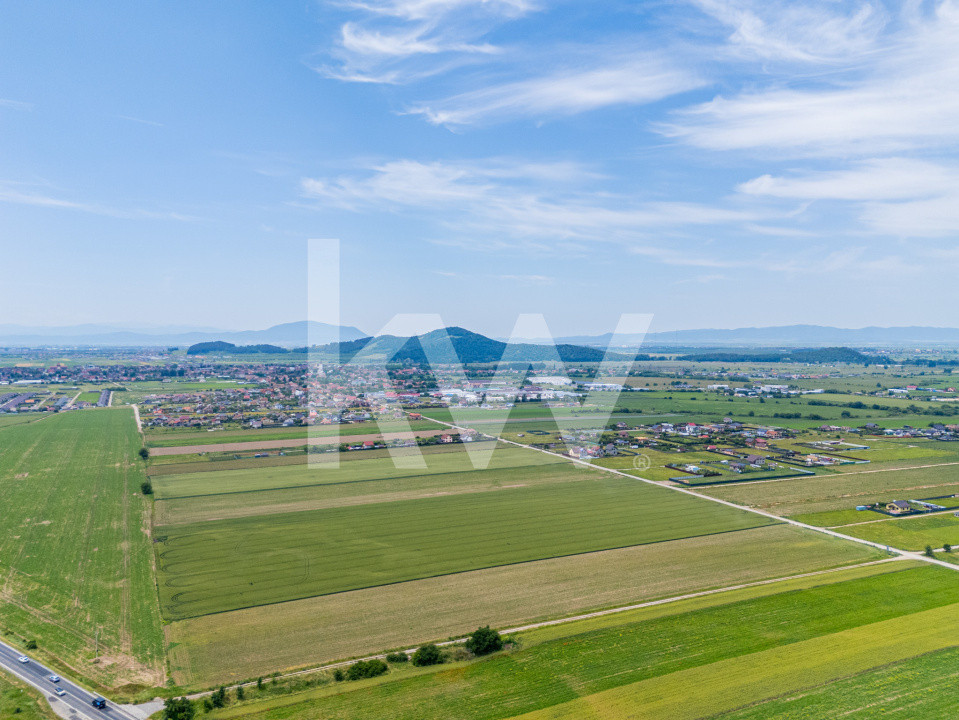 Teren de vanzare I 43.500 mp I Deschidere la drum - Harman