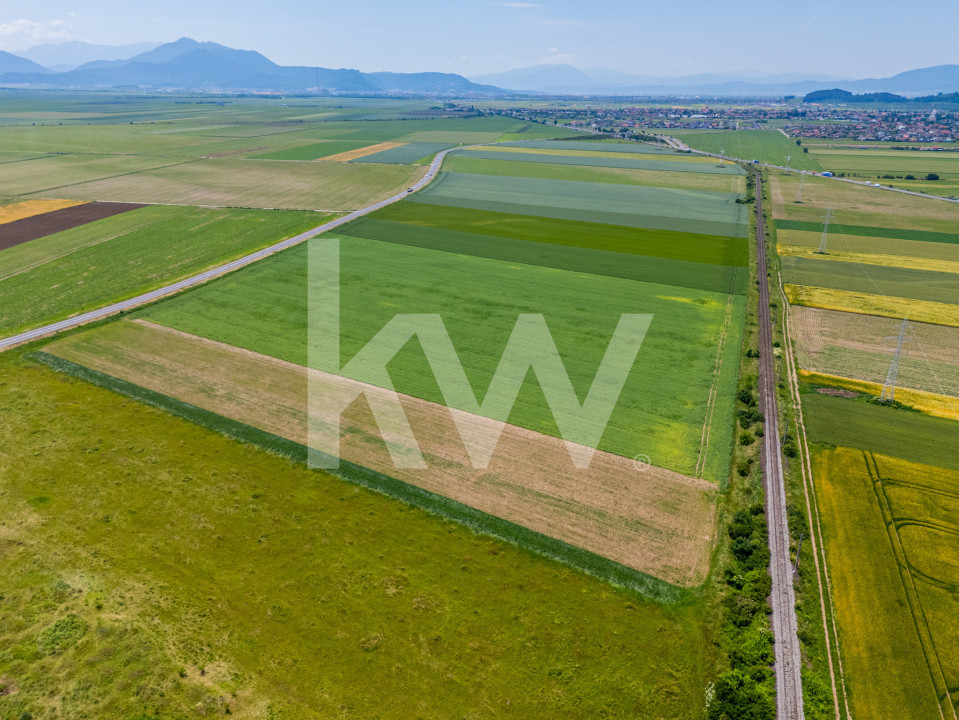 Teren de vanzare I 43.500 mp I Deschidere la drum - Harman