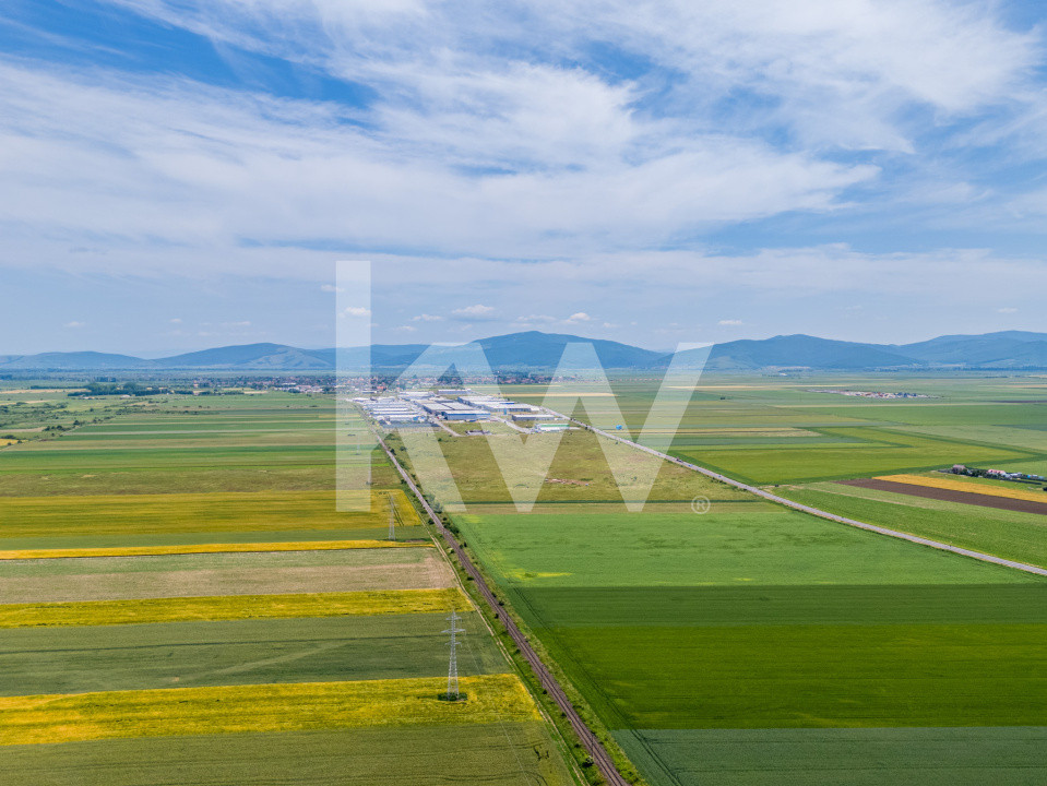 Teren de vanzare I 43.500 mp I Deschidere la drum - Harman