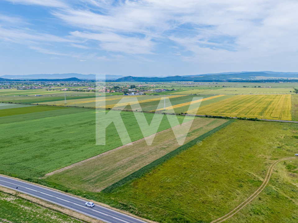 Teren de vanzare I 43.500 mp I Deschidere la drum - Harman