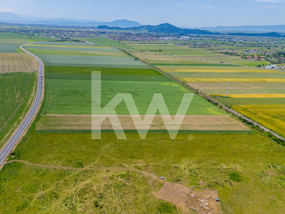 Teren de vanzare I 43.500 mp I Deschidere la drum - Harman