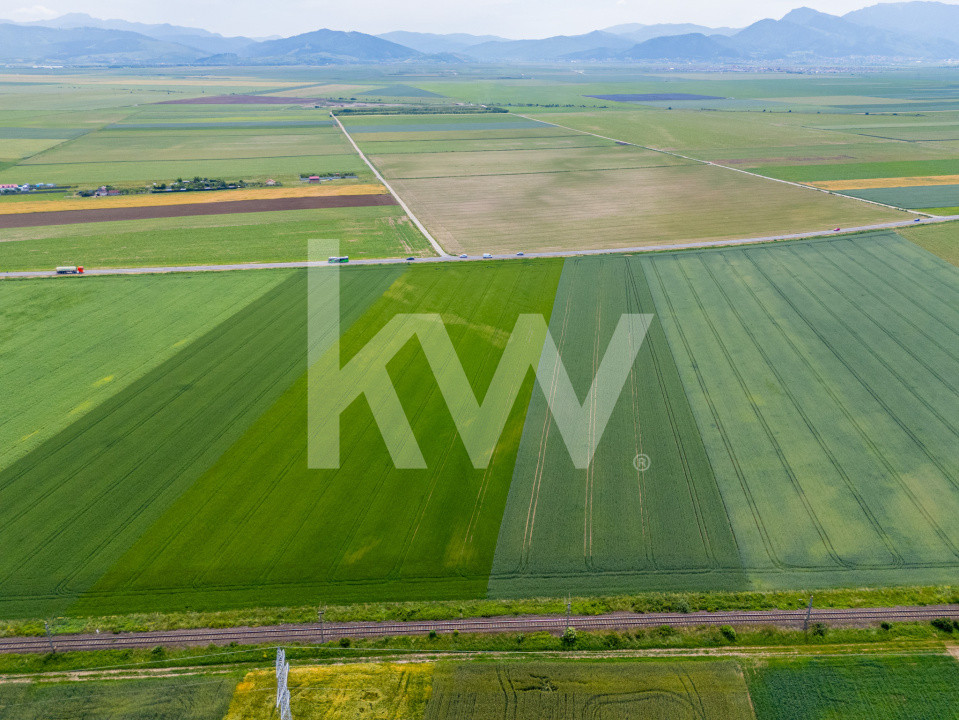 Teren de vanzare I 43.500 mp I Deschidere la drum - Harman