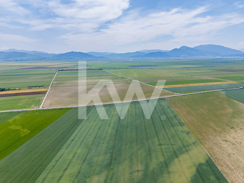 Teren de vanzare I 43.500 mp I Deschidere la drum - Harman