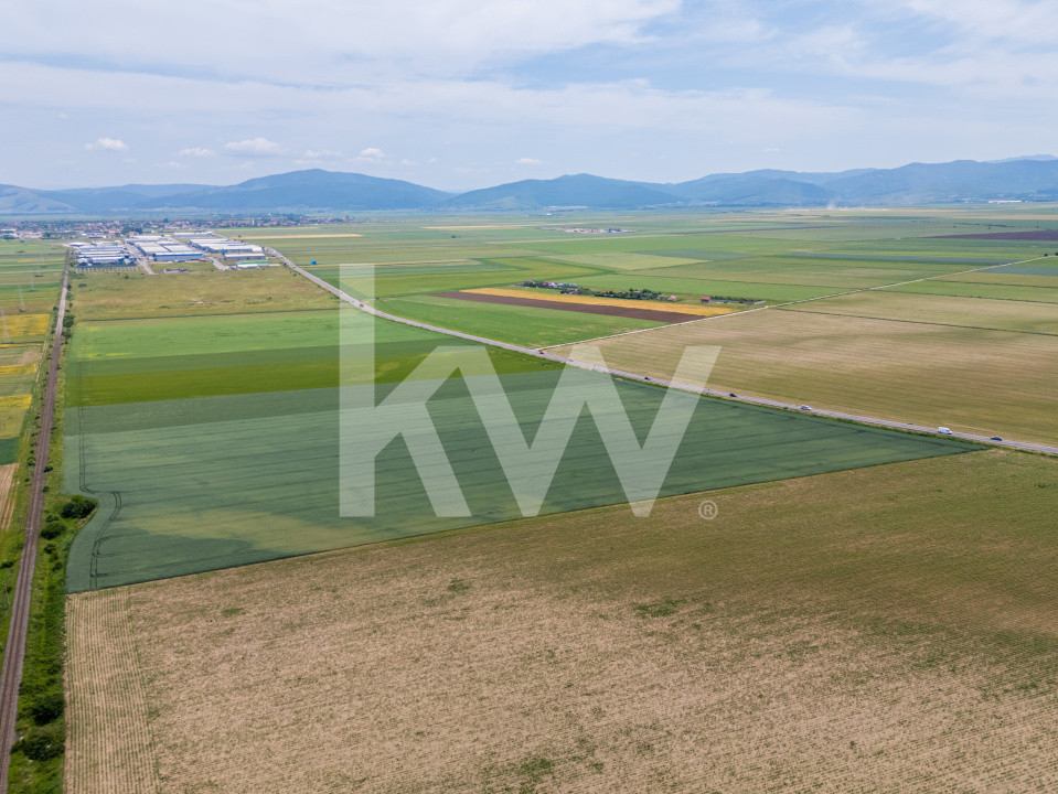 Teren de vanzare I 43.500 mp I Deschidere la drum - Harman