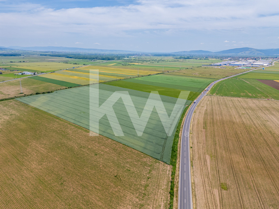 Teren de vanzare I 43.500 mp I Deschidere la drum - Harman