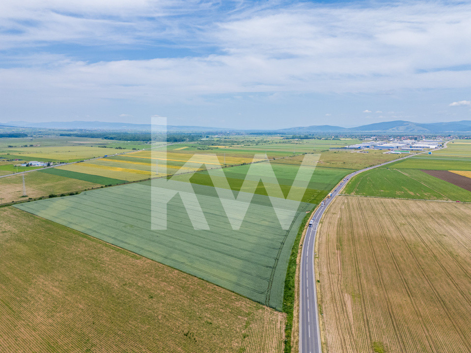 Teren de vanzare I 43.500 mp I Deschidere la drum - Harman