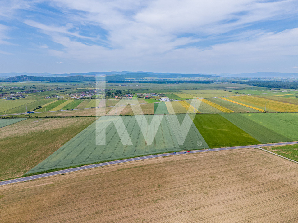 Teren de vanzare I 43.500 mp I Deschidere la drum - Harman
