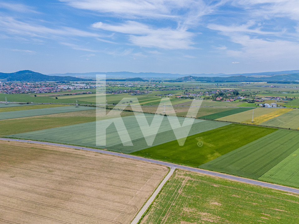 Teren de vanzare I 43.500 mp I Deschidere la drum - Harman