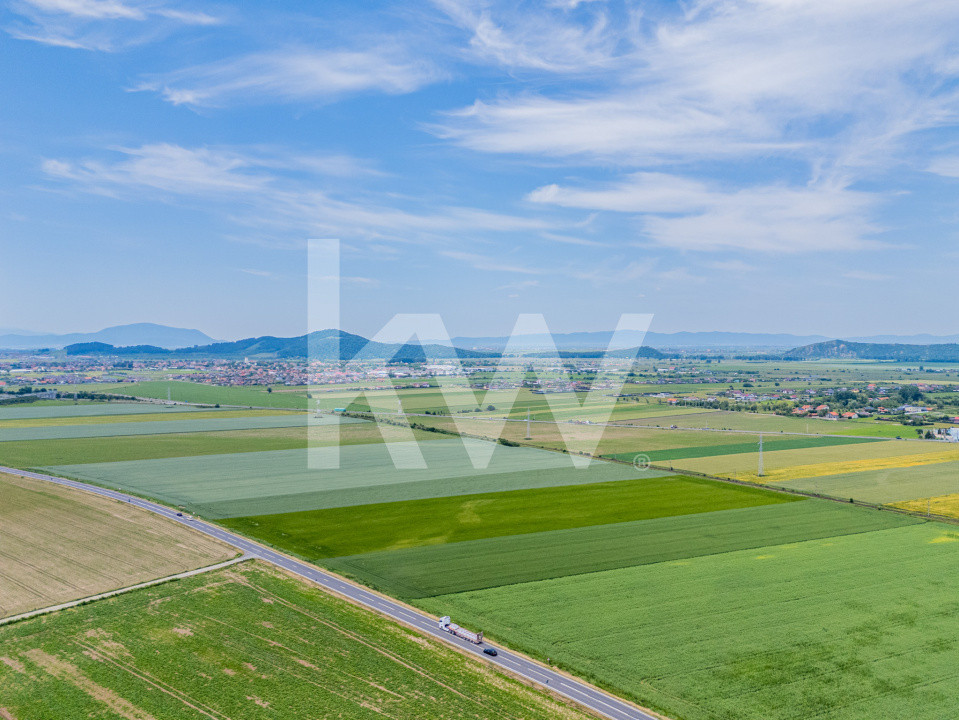 Teren de vanzare I 43.500 mp I Deschidere la drum - Harman