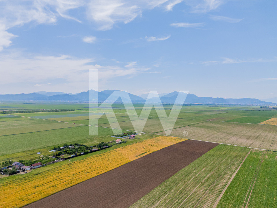 Teren de vanzare I 43.500 mp I Deschidere la drum - Harman