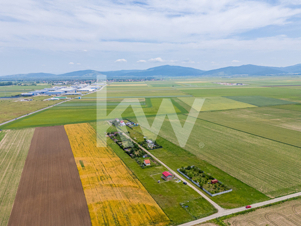 Teren de vanzare I 43.500 mp I Deschidere la drum - Harman