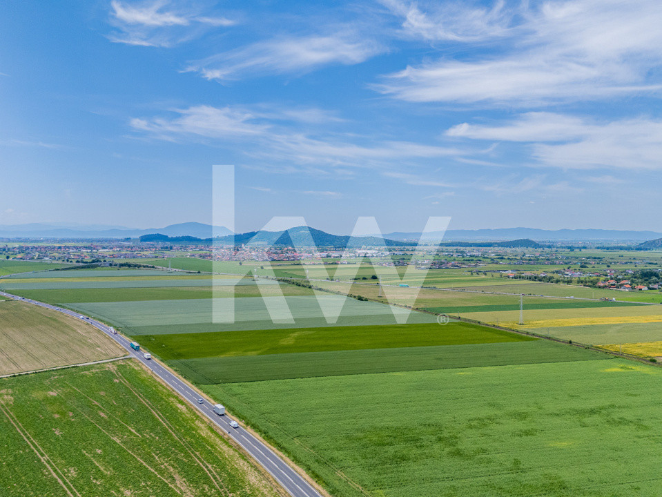 Teren de vanzare I 43.500 mp I Deschidere la drum - Harman