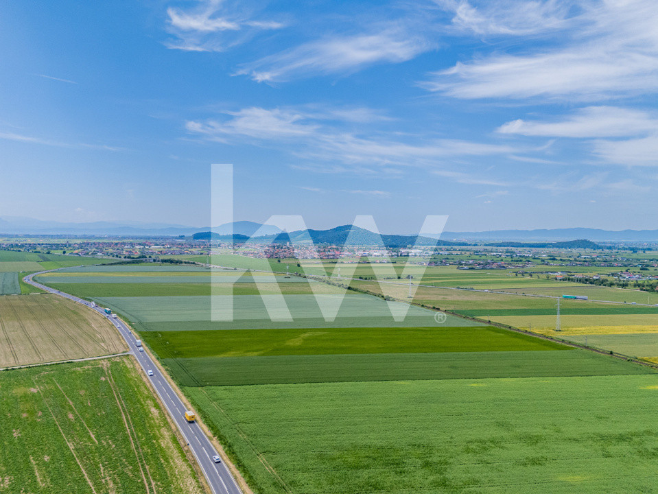 Teren de vanzare I 43.500 mp I Deschidere la drum - Harman
