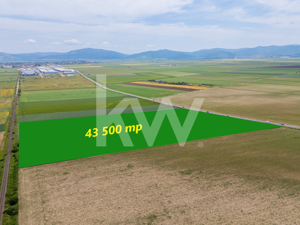 Teren de vanzare I 43.500 mp I Deschidere la drum - Harman