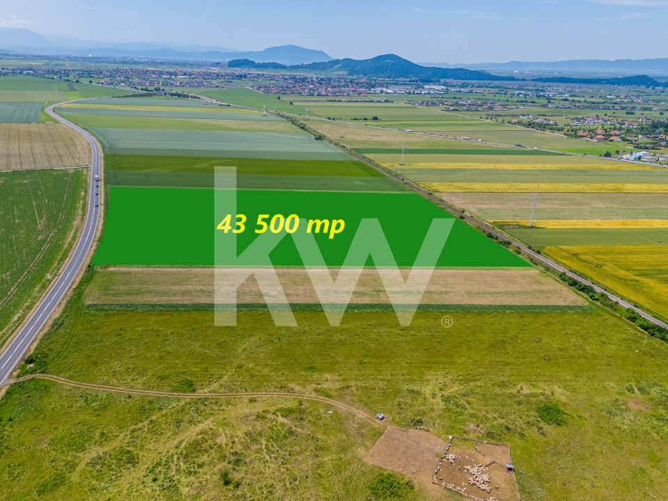 Teren de vanzare I 43.500 mp I Deschidere la drum - Harman