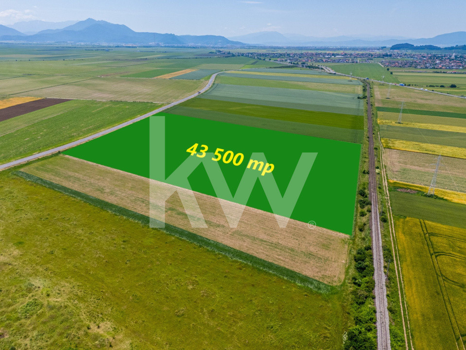 Teren de vanzare I 43.500 mp I Deschidere la drum - Harman