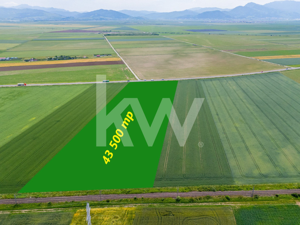 Teren de vanzare I 43.500 mp I Deschidere la drum - Harman