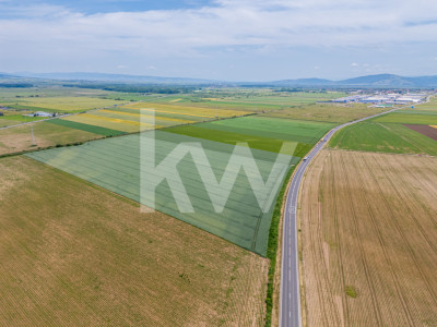 Teren de vanzare I 43.500 mp I Deschidere la drum - Harman