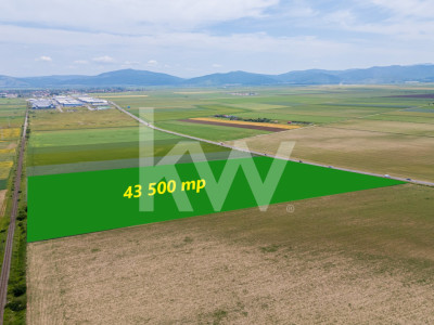 Teren de vanzare I 43.500 mp I Deschidere la drum - Harman