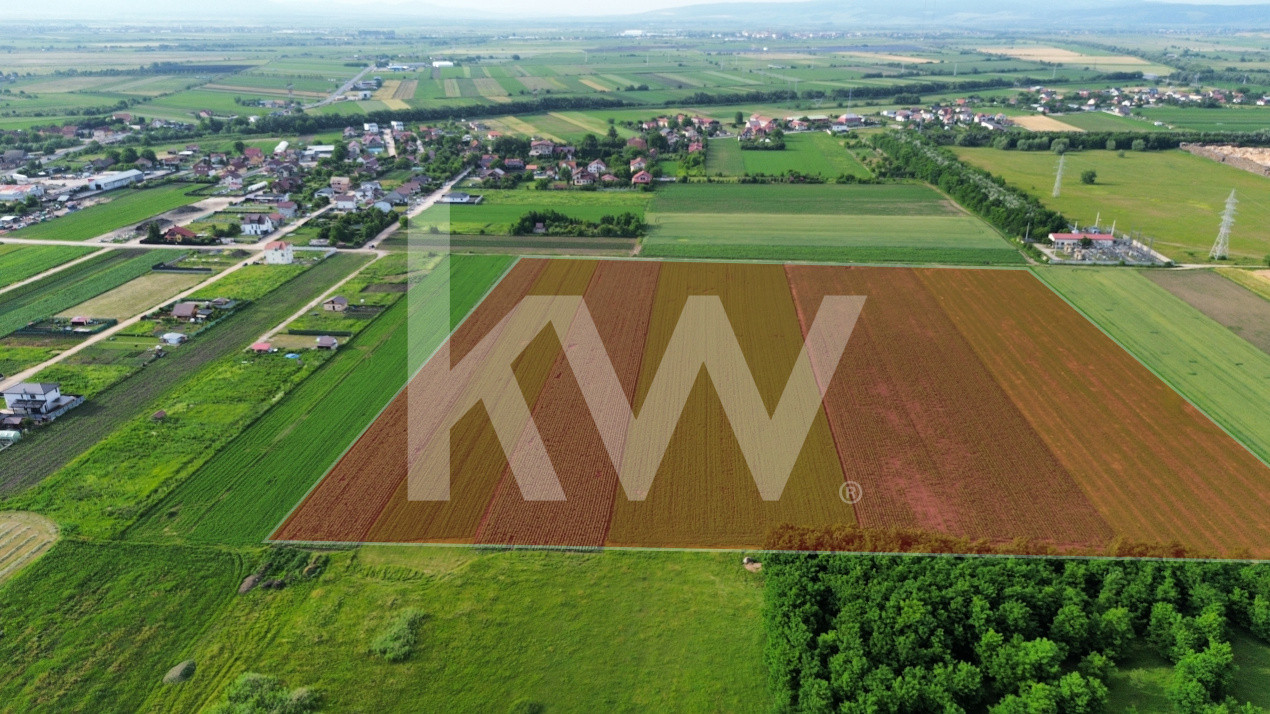 Teren intravilan cu potențial de dezvoltare - str. Luncii - Baciului