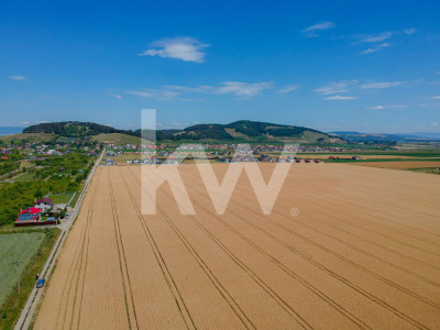 Teren extravilan de vanzare în Sânpetru, Brasov – 9.300 mp, COMISION 0%