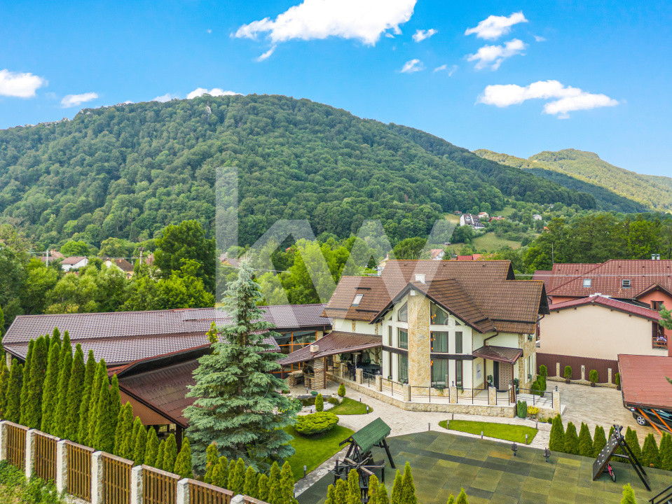Reședință privată, cu piscină, cramă și cinematograf, Bran, COMISION 0%