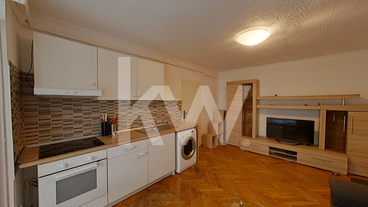 Apartament 2 camere Pet friendly -parter 