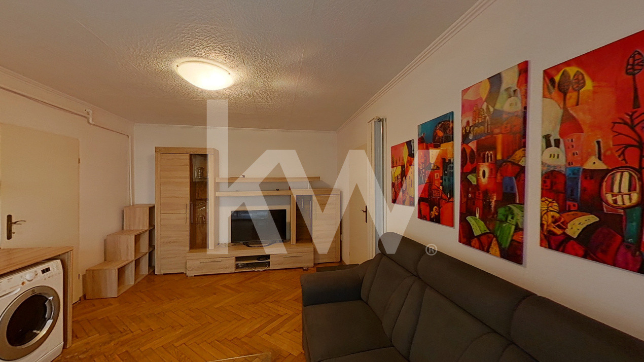 Apartament 2 camere Pet friendly -parter 