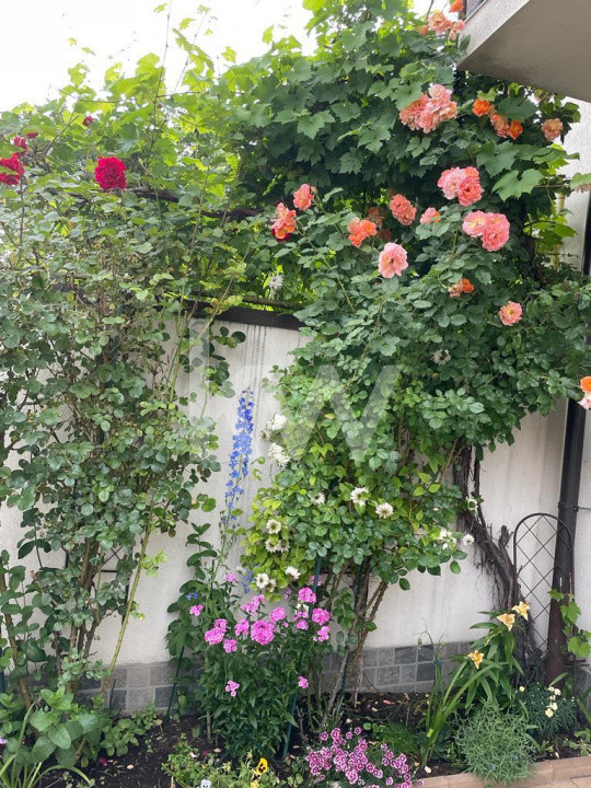 Casa individuala cu 5 camere, de vanzare, in Brasov, zona Bartolomeu!