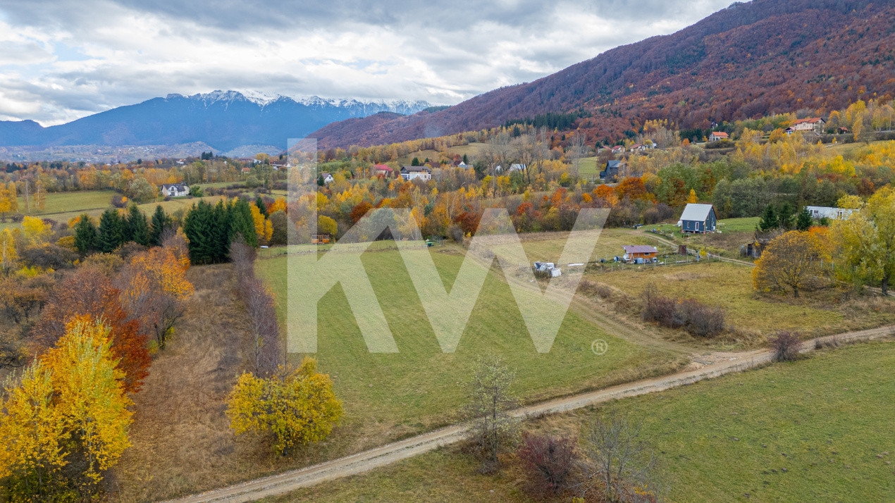 Teren intravilan I Gata de construit I 1100 mp I Tohanita