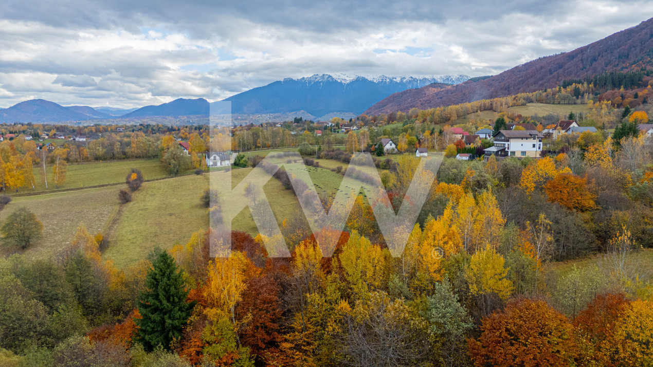 Teren intravilan I Gata de construit I 1100 mp I Tohanita