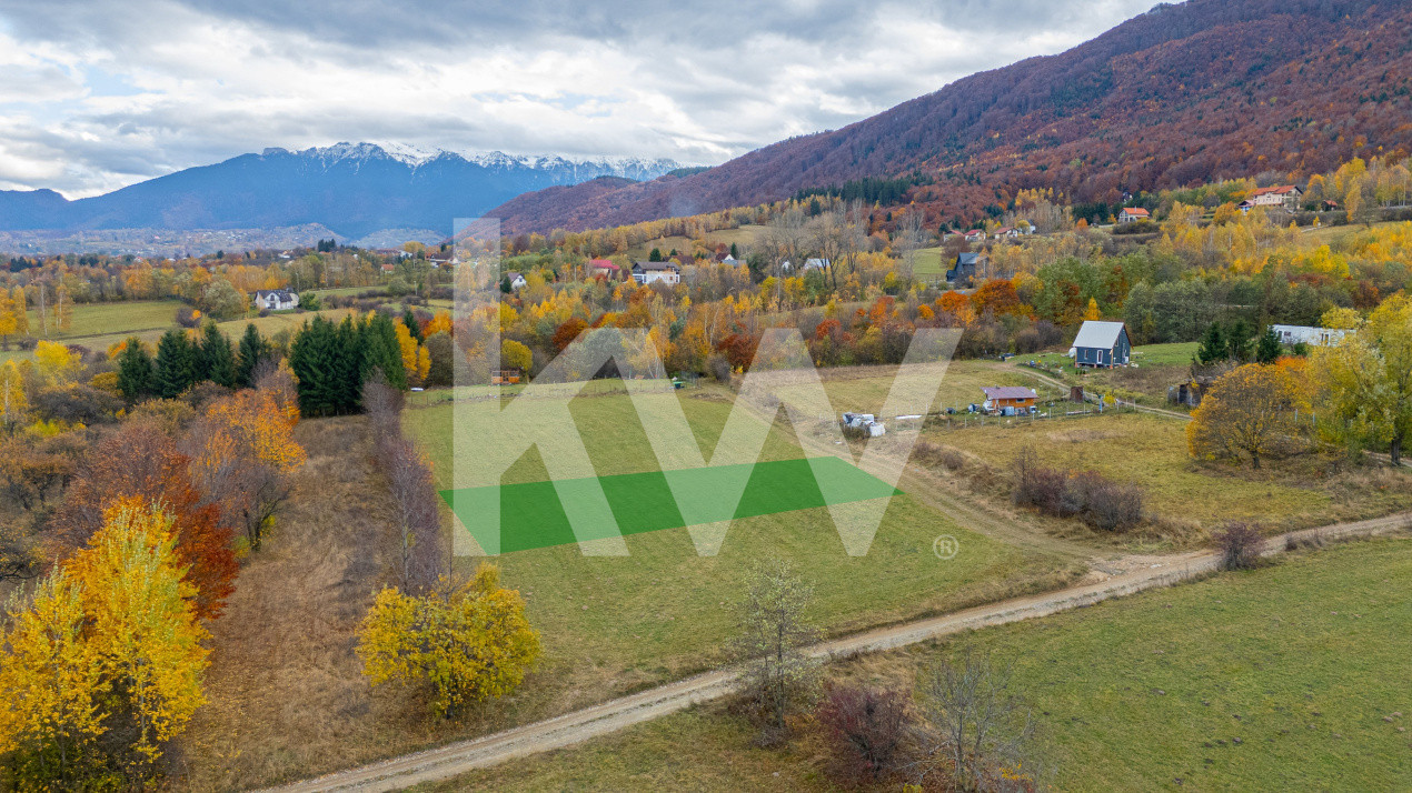 Teren intravilan I Gata de construit I 985 mp I Tohanita