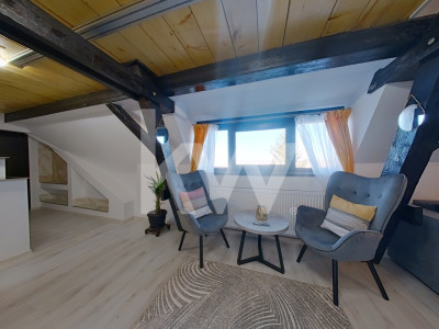 Apartament cu 3 camere, decomandat, mobilat și utilat - Drumul Poienii