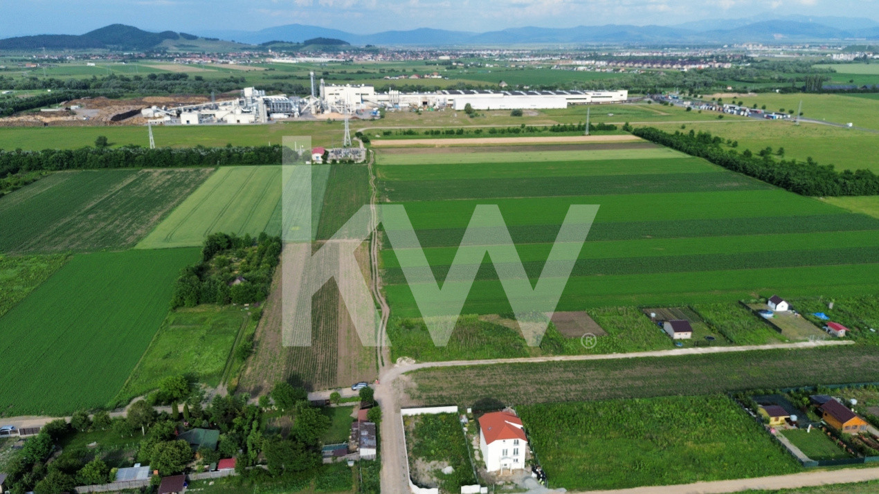 Lot de casa Stupini - str. Luncii - proiect parcele