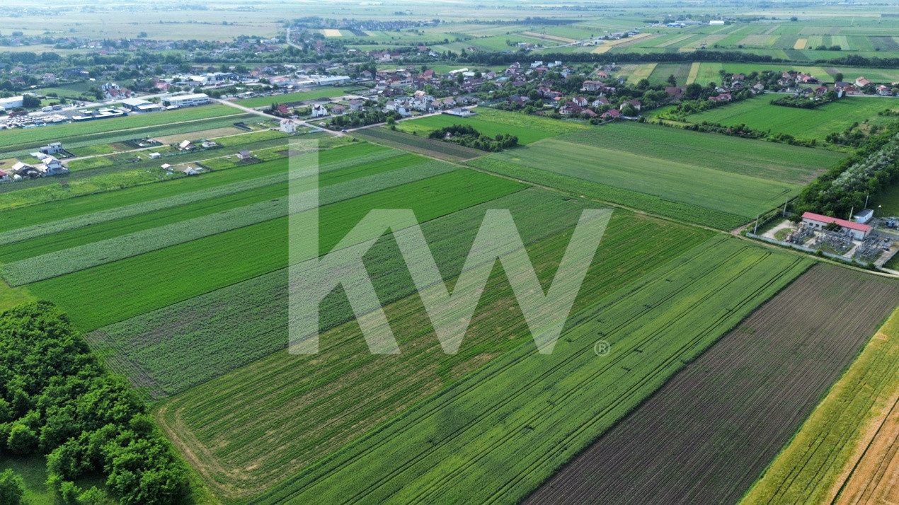 Lot de casa Stupini - str. Luncii - proiect parcele