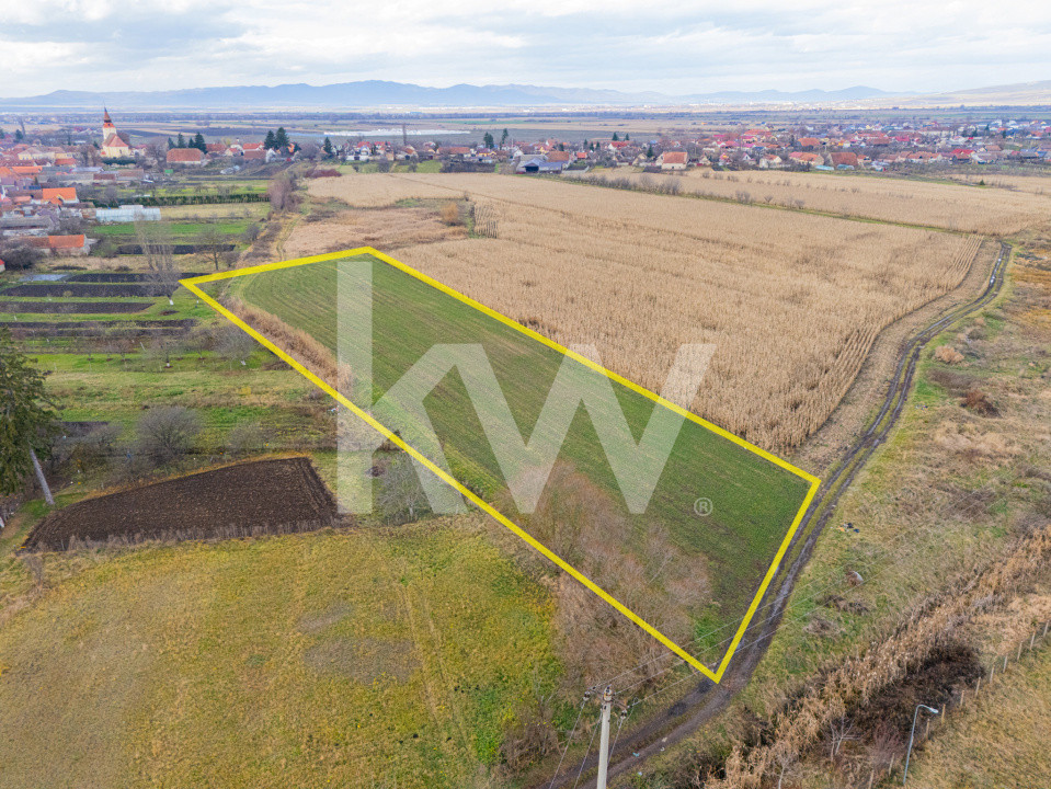 Teren 10000 mp in Extravilan, Bod, Brasov