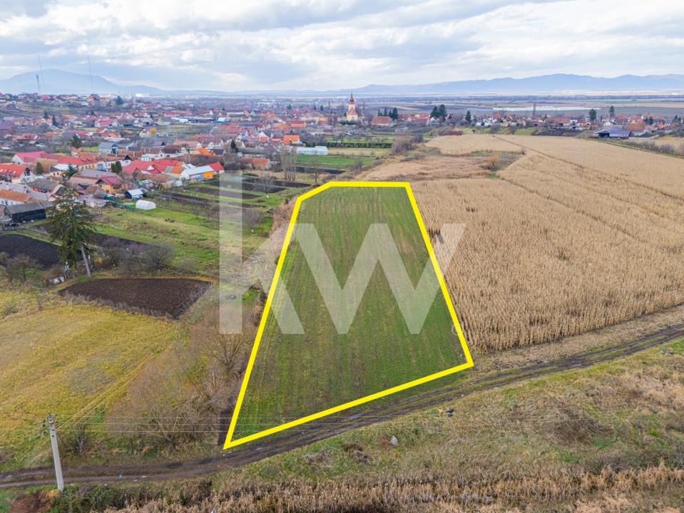 Teren 10000 mp in Extravilan, Bod, Brasov