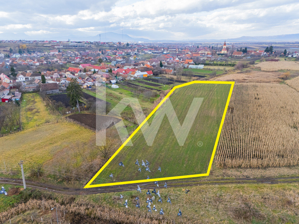 Teren 10000 mp in Extravilan, Bod, Brasov