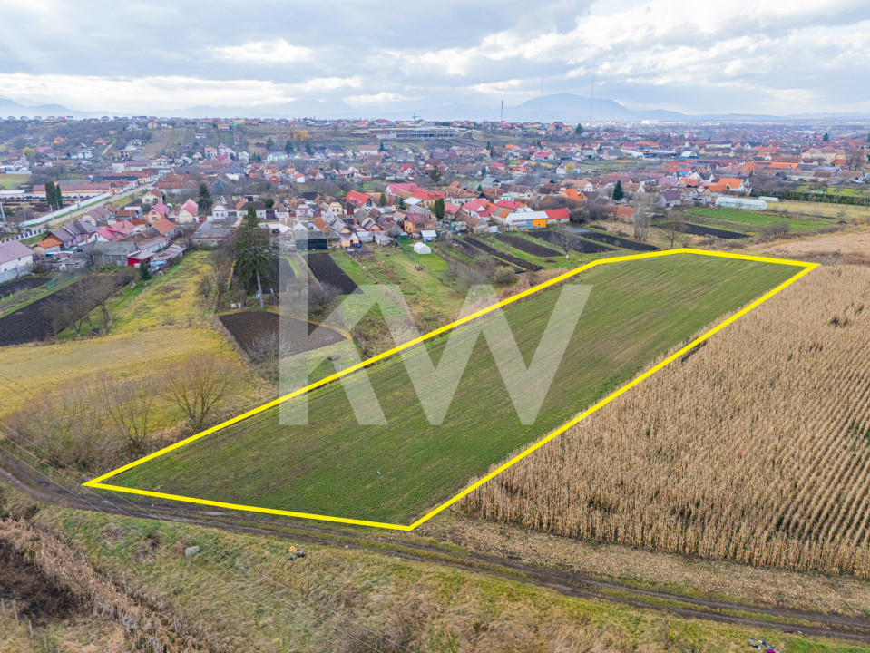 Teren 10000 mp in Extravilan, Bod, Brasov