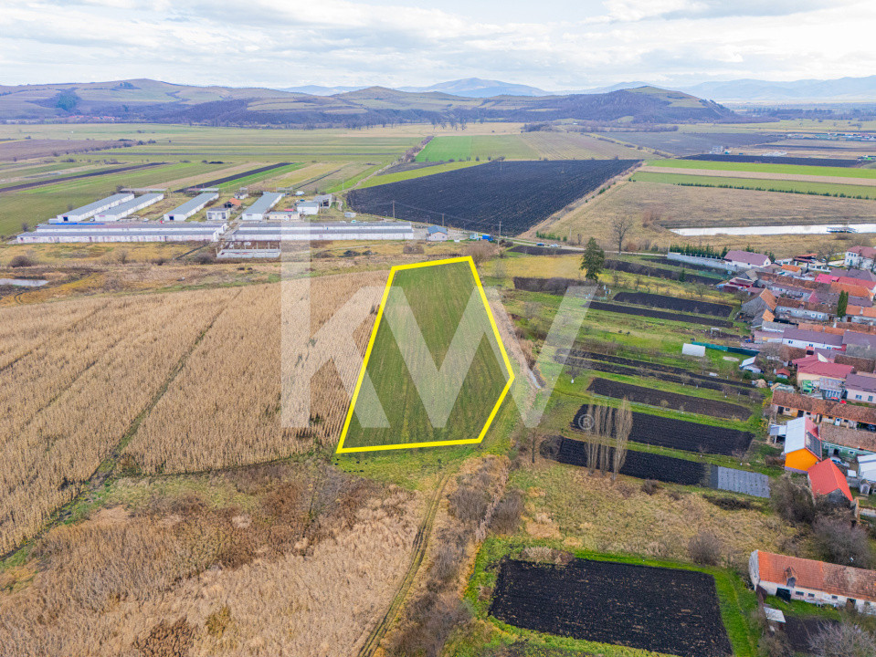 Teren 10000 mp in Extravilan, Bod, Brasov