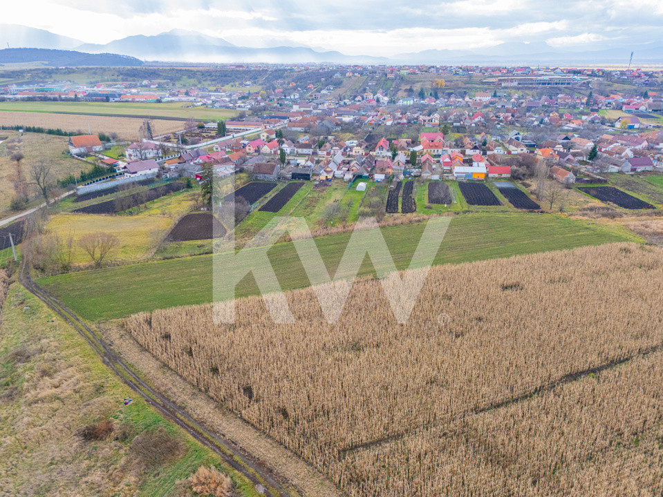 Teren 10000 mp in Extravilan, Bod, Brasov