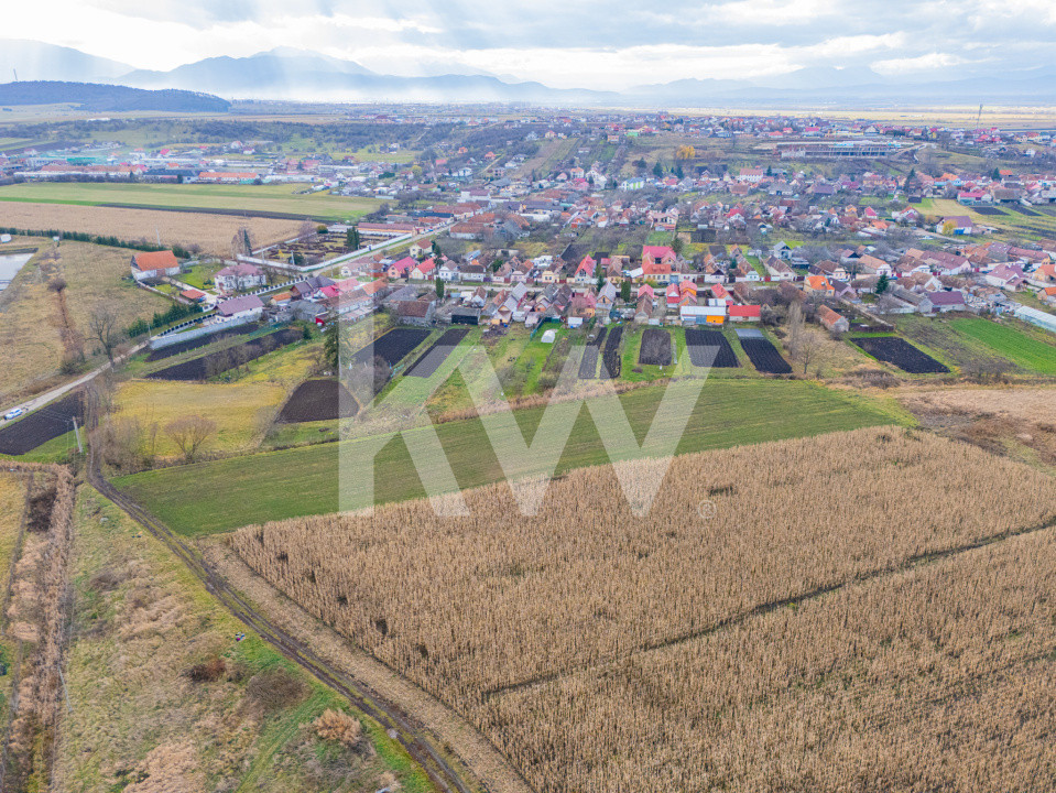 Teren 10000 mp in Extravilan, Bod, Brasov