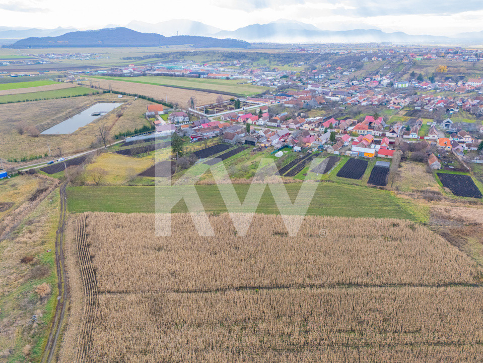Teren 10000 mp in Extravilan, Bod, Brasov