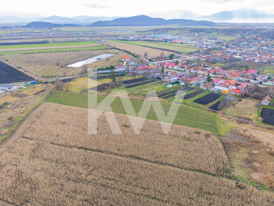 Teren 10000 mp in Extravilan, Bod, Brasov